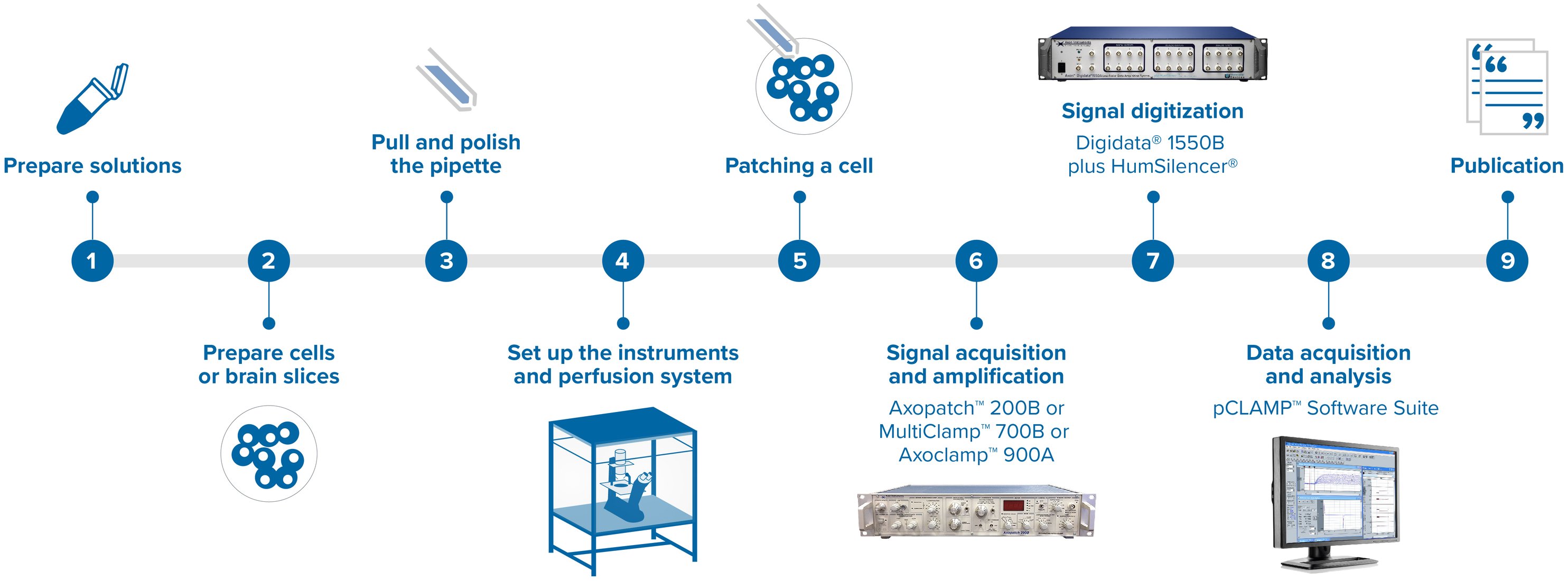 Axon workflow_20230214