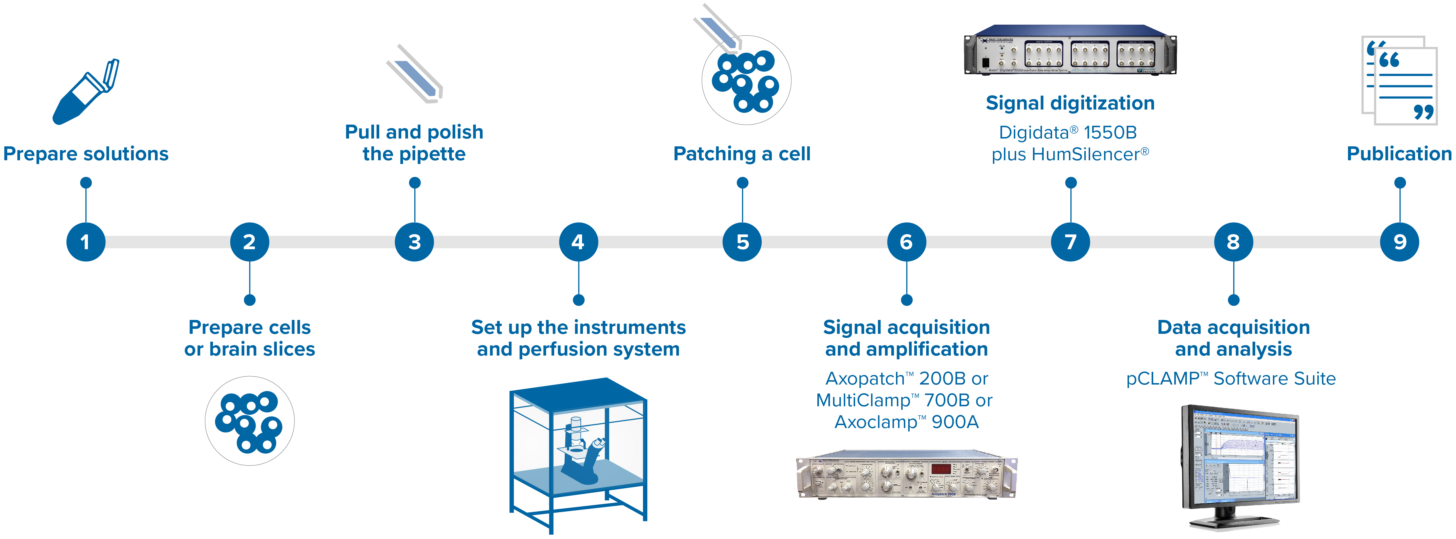 Pave the way to neuroscience breakthroughs with Axon Patch-Clamp ...
