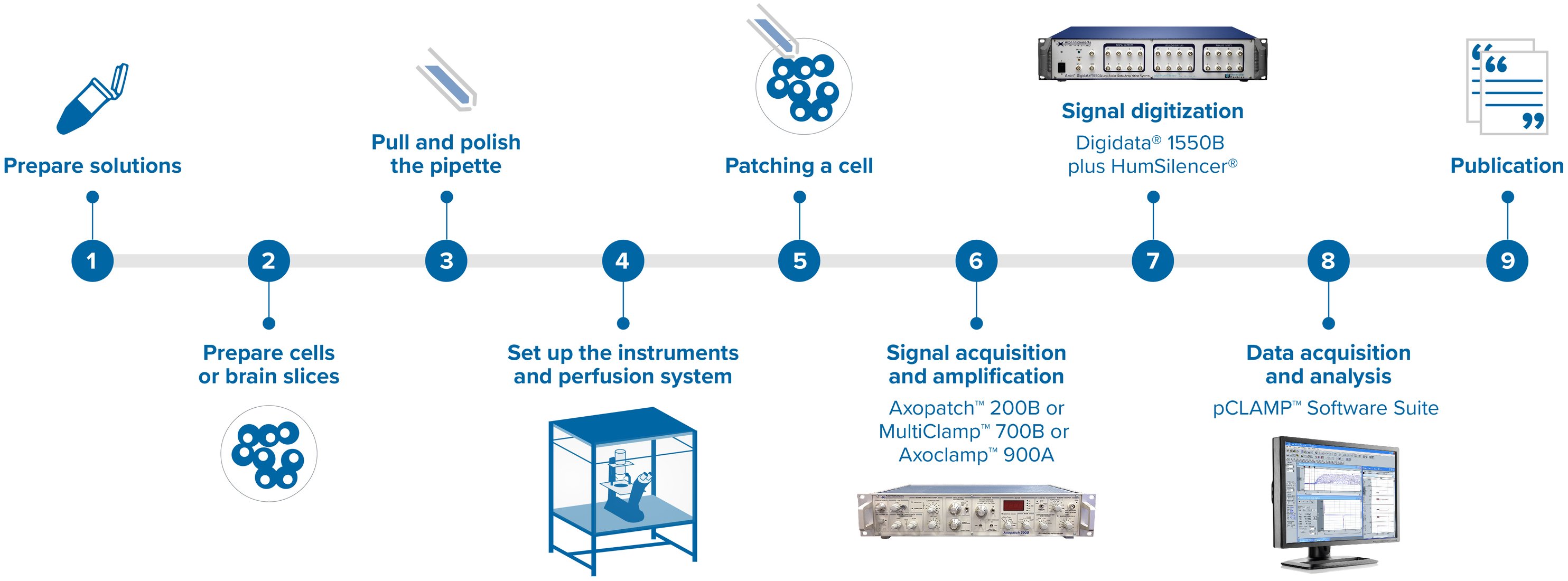 Axon workflow_20230214 Axon workflow_20230214