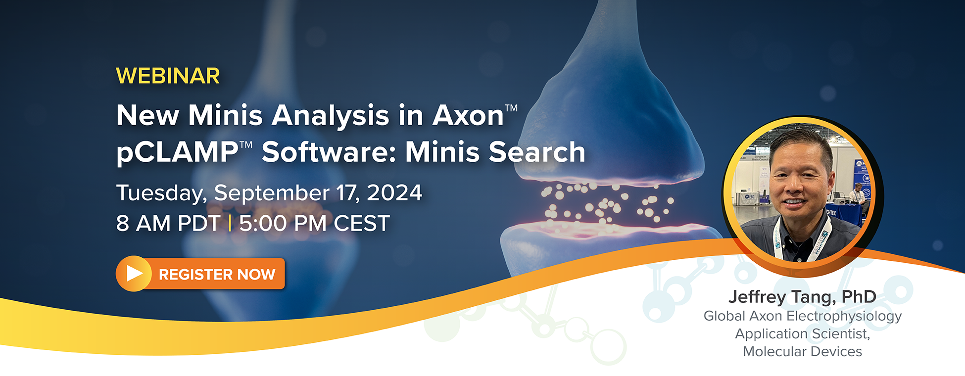 Banner-LP-Minis Search webinar-20240823