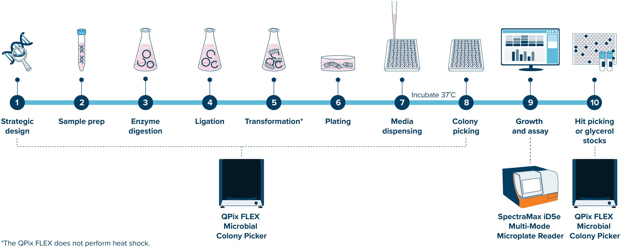 20260107_QPix FLEX molecular cloning workflow