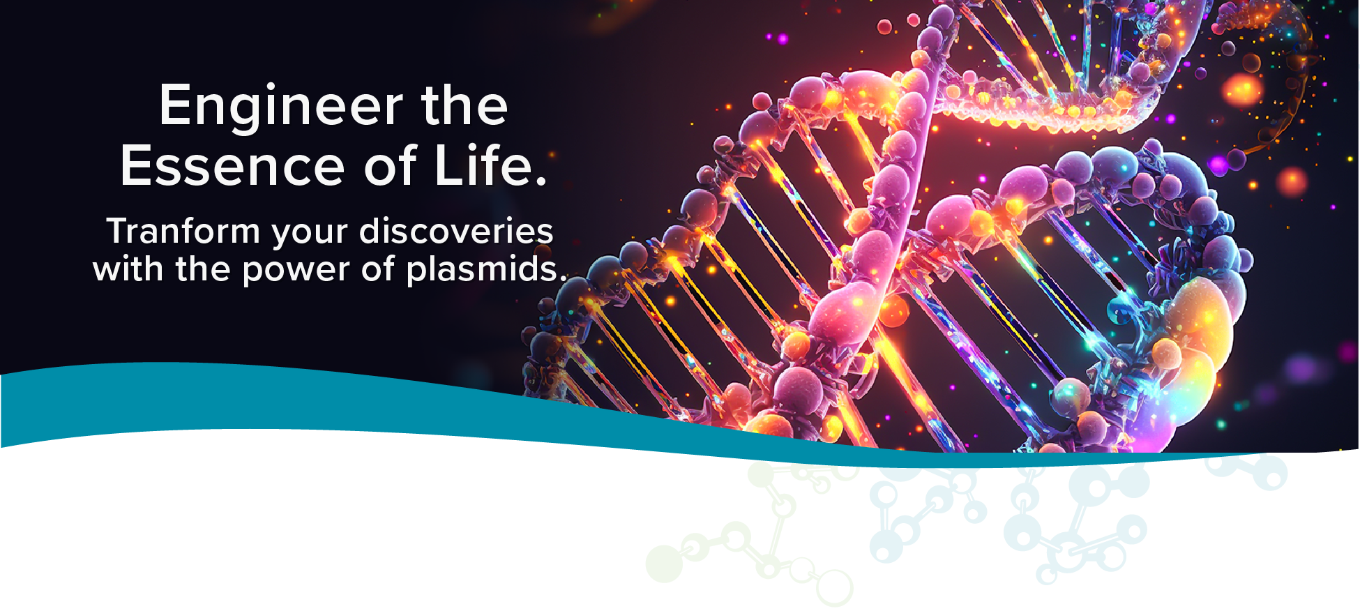 Banners_Plasmid_all size ads
