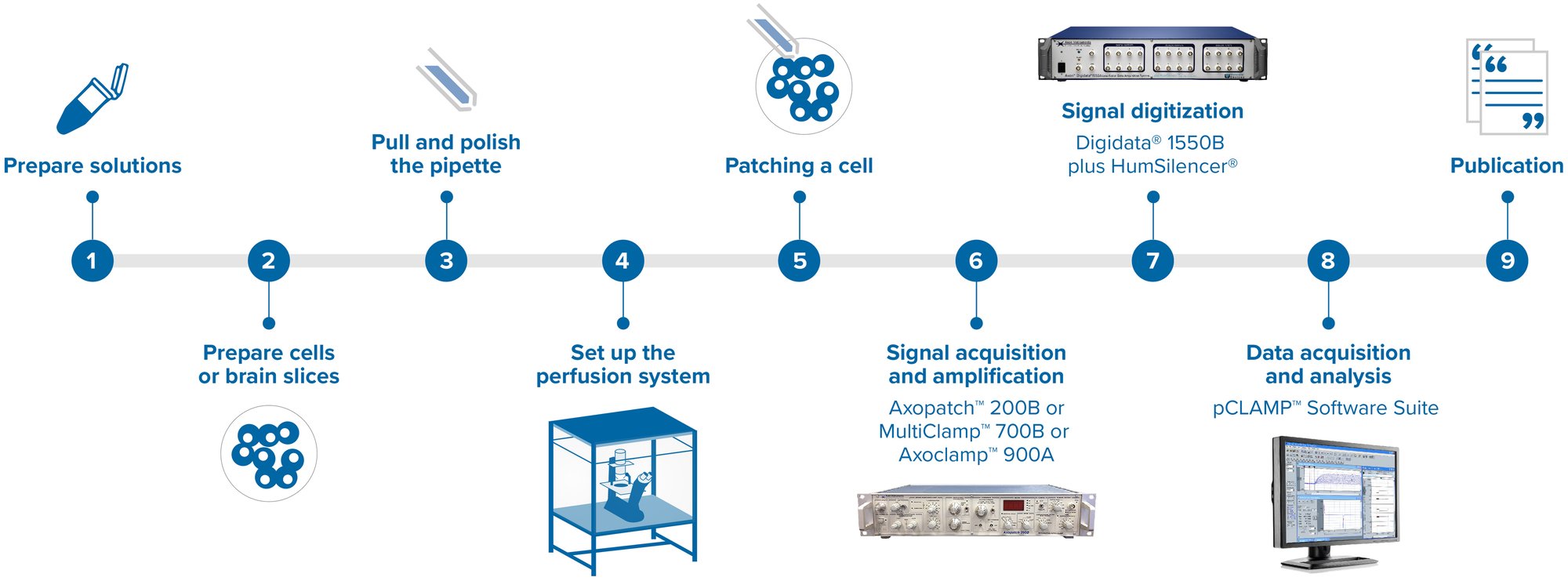 Axon workflow_20230202-2