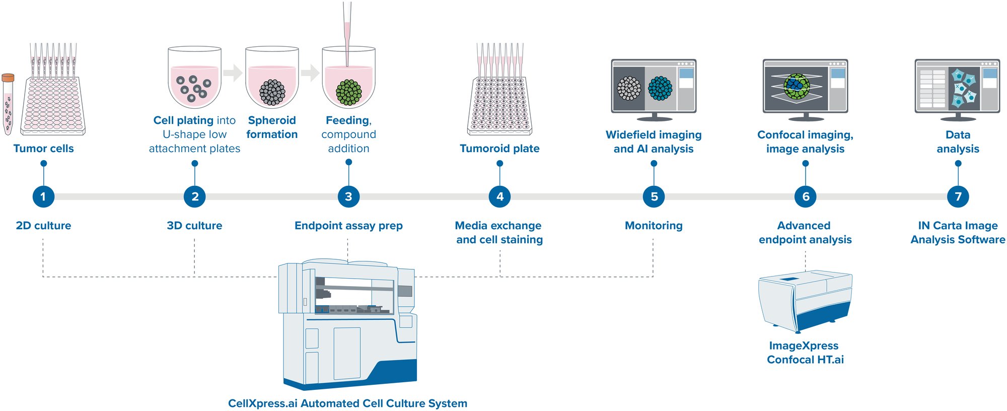 Cancer spheroid culture-CellXpress-ai-workflow_20240418 (1)