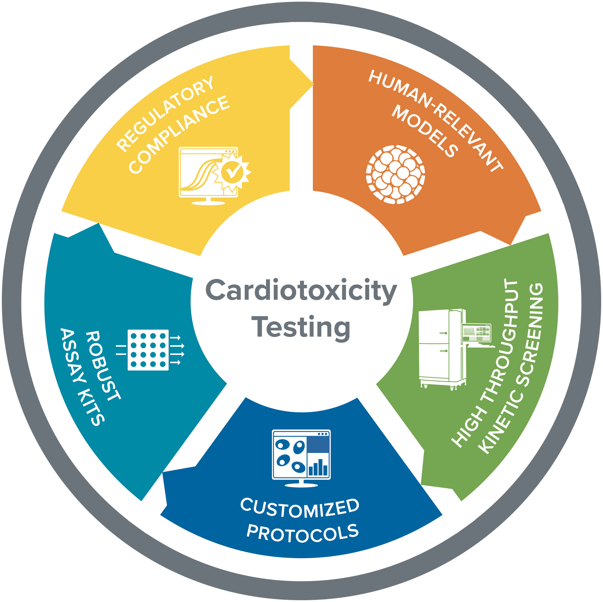 Cardiotoxicity testing graphic-all-20240301