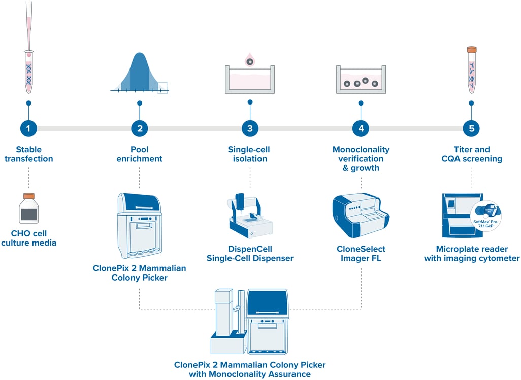 Cell line dev workflow_with DispenCell and CP3_20240808