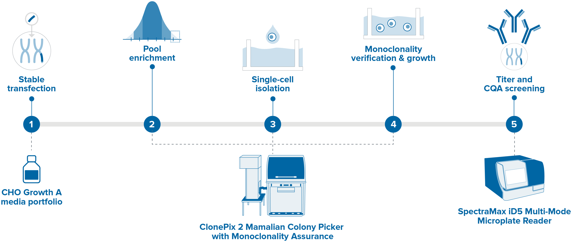 cell-line-dev-with-clonepix2-workflow