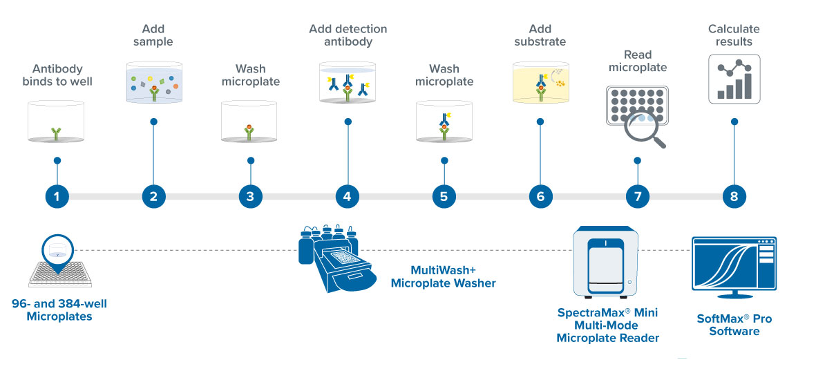 ELISA-workflow-graphic