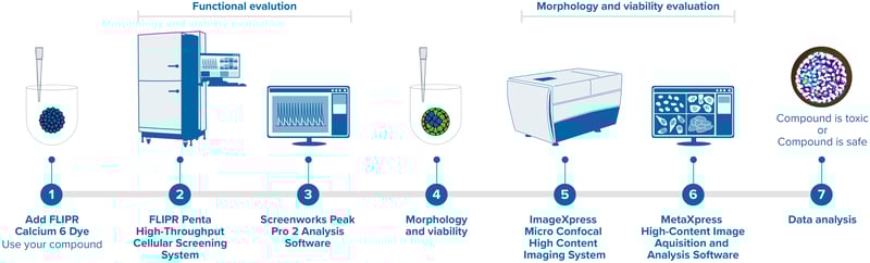 FLIPR imaging_with Calcium 6 Dye_workflow_20230503-1