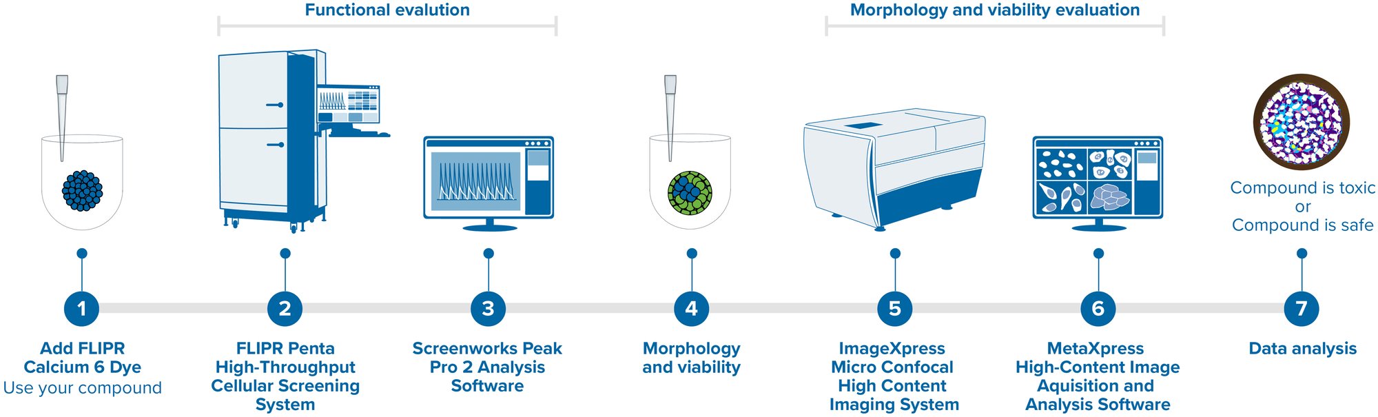 FLIPR imaging_with Calcium 6 Dye_workflow_20230503-1 FLIPR imaging_with Calcium 6 Dye_workflow_20230503-1
