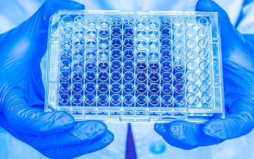Live cell and viability assays microplate samples
