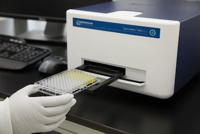 MD-IMG-Scientist inserting microplate into ABS Plus absorbance microplate reader MD-IMG-Scientist inserting microplate into ABS Plus absorbance microplate reader