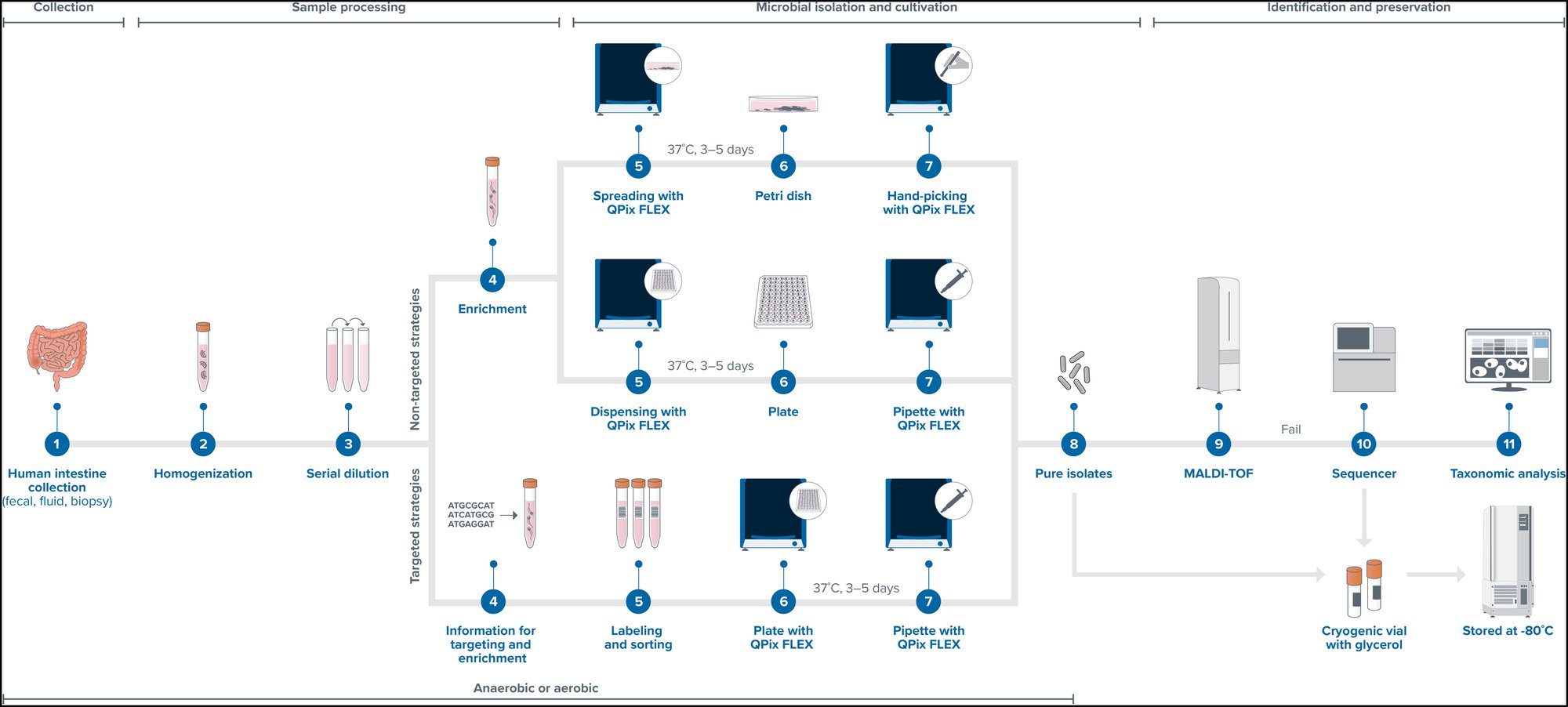 Microbiome workflow_20250421 Microbiome workflow_20250421