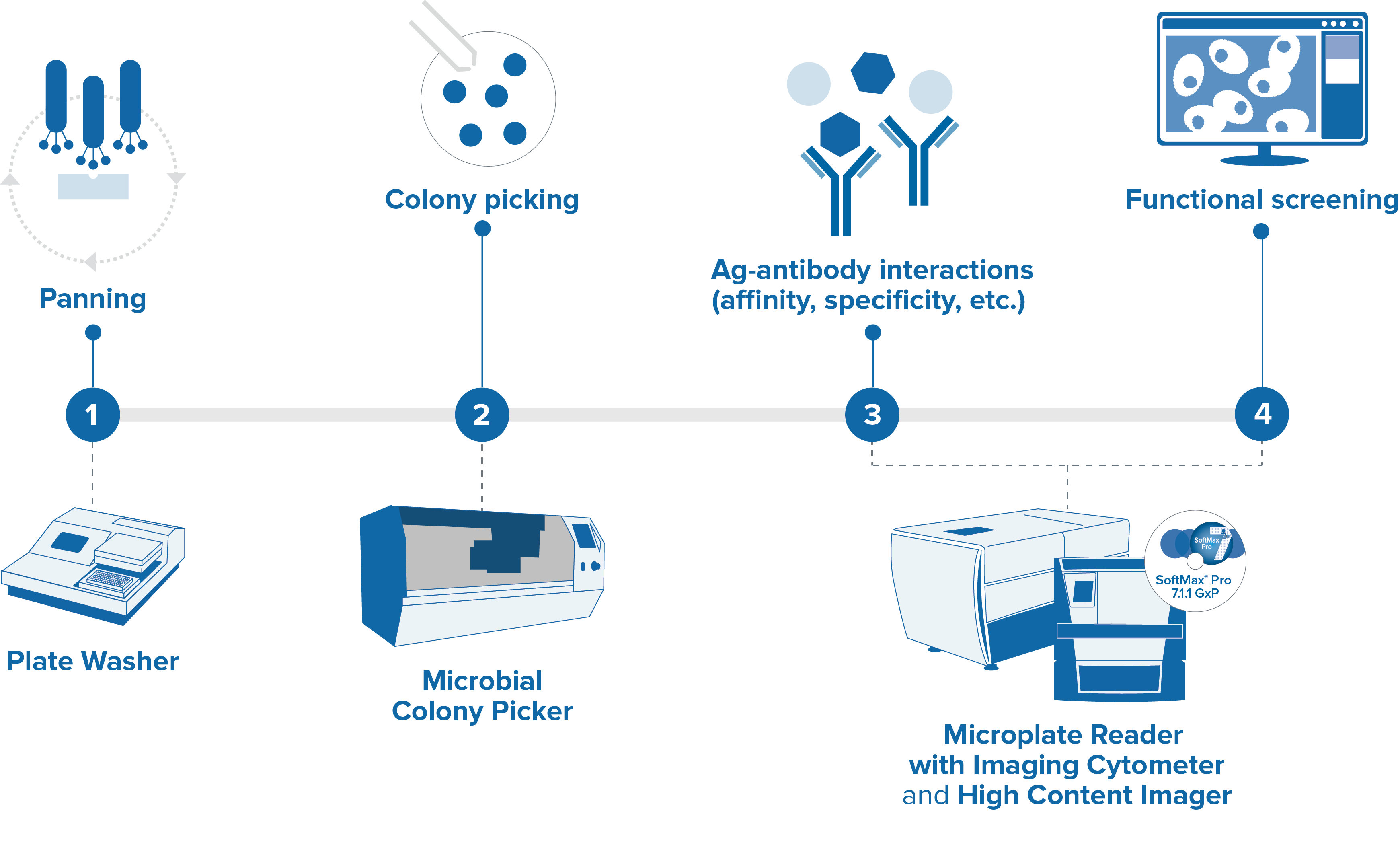 Phage Display workflow graphic-04