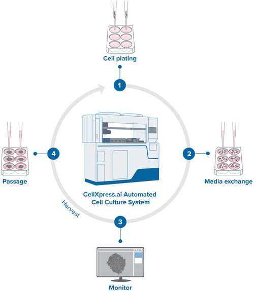 iPSC-CellXpress-ai-workflow_circular_v1_20230830