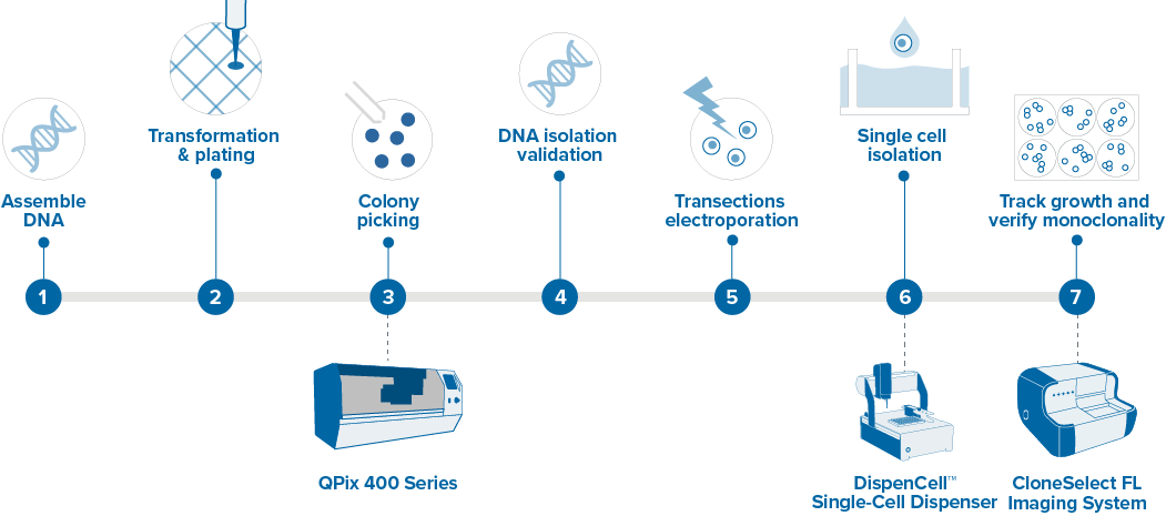 molecular cloning workflow-20230201