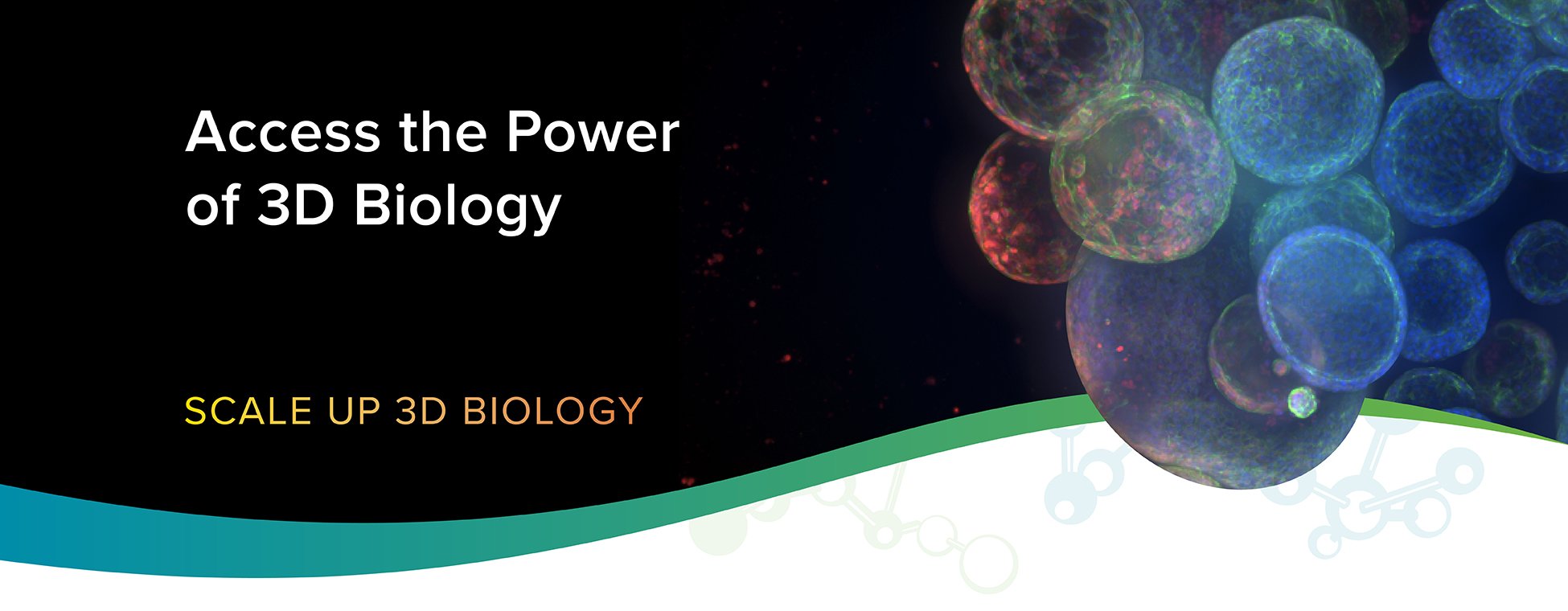 Banner-LP-Access the power of 3D biology-20240112 (1)