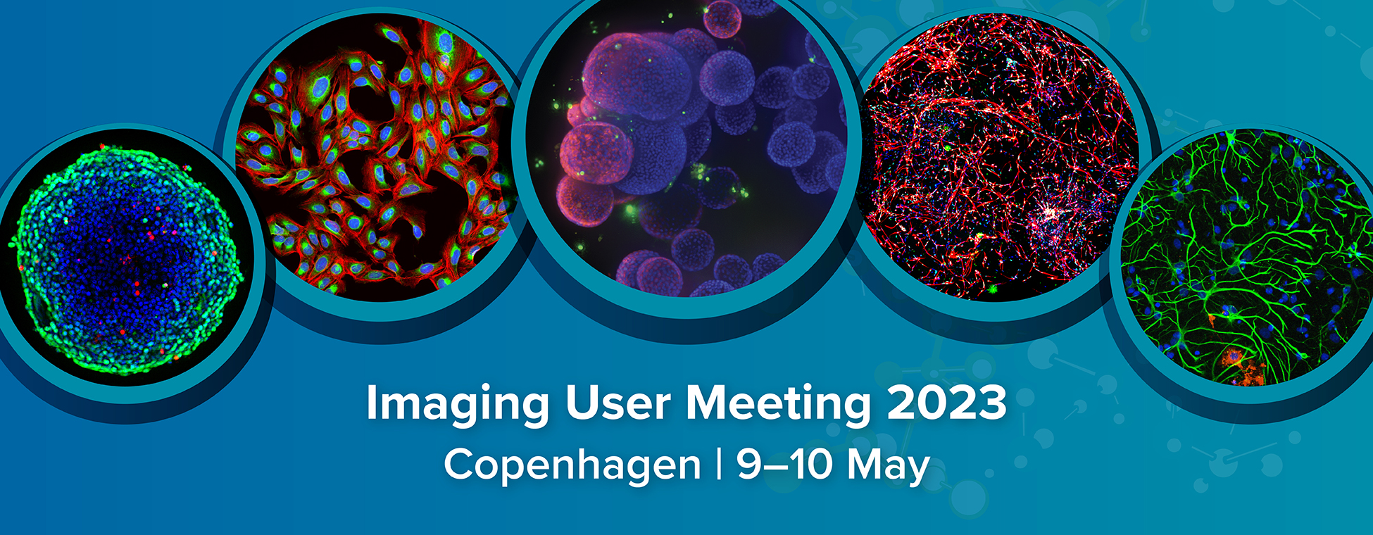 Banner-LP-Imaging User Meeting-20230103-2