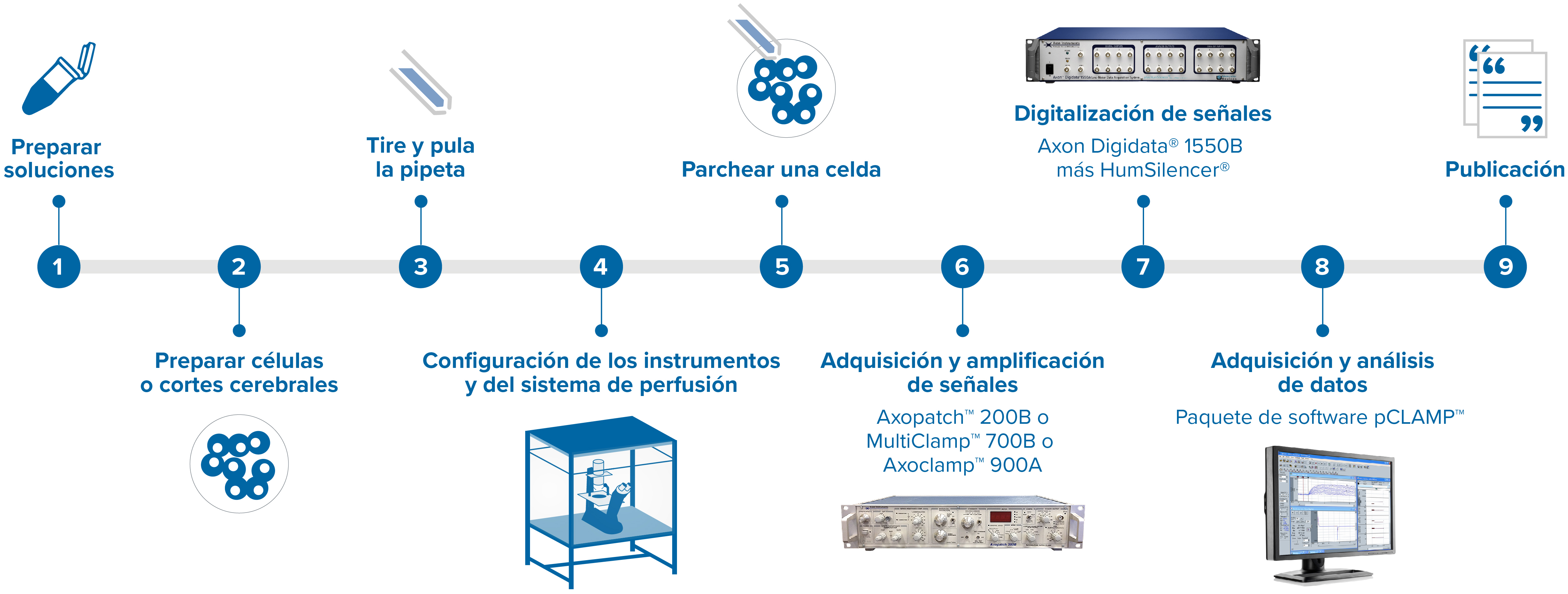 Axon workflow_ES_20230214