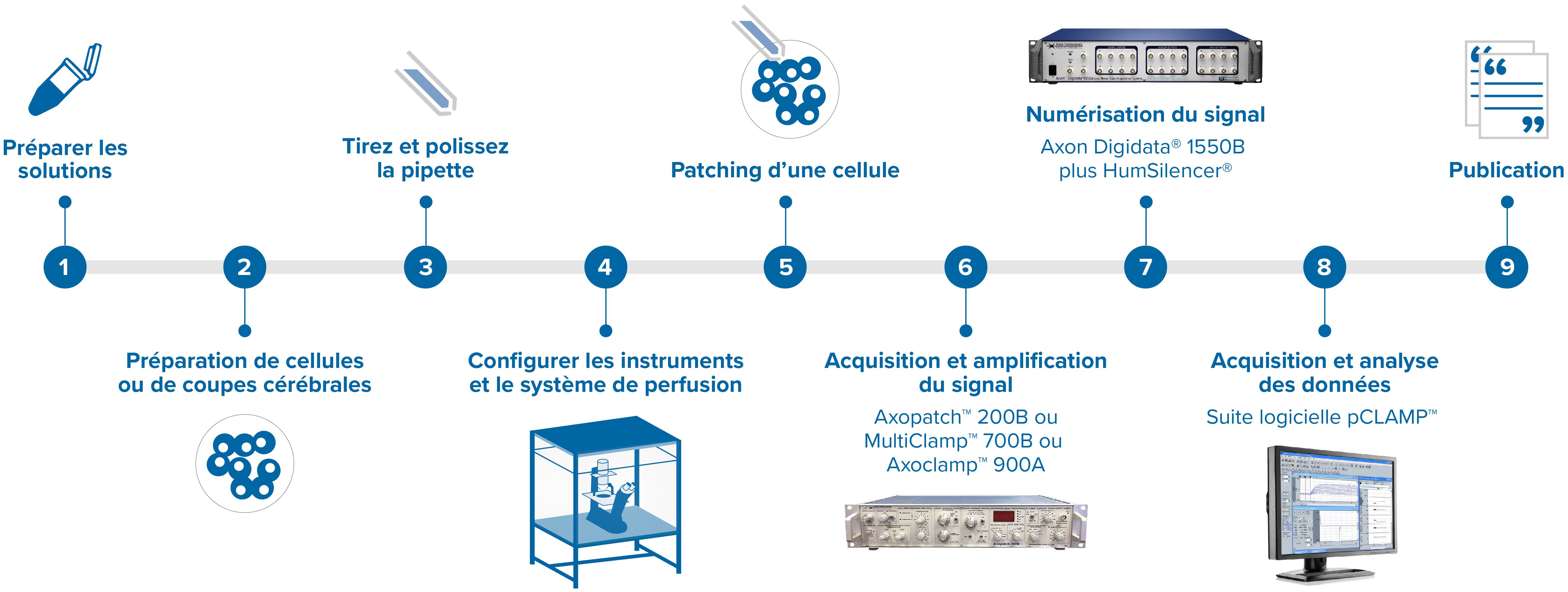 Axon workflow_FR_20230215