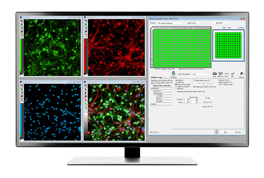 Large blank monitor_Plate acquisition Large blank monitor_Plate acquisition