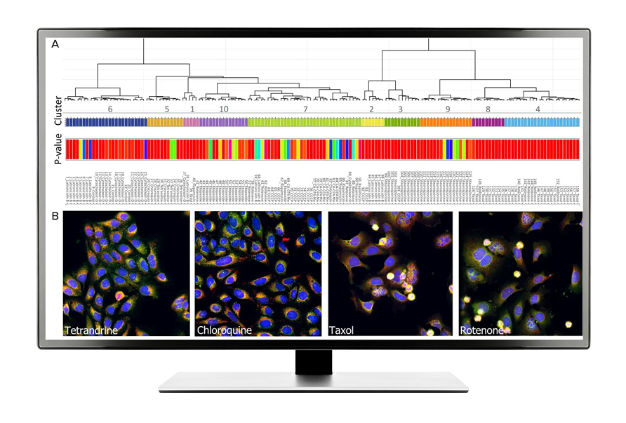 Large blank monitor_StratoMineR Large blank monitor_StratoMineR