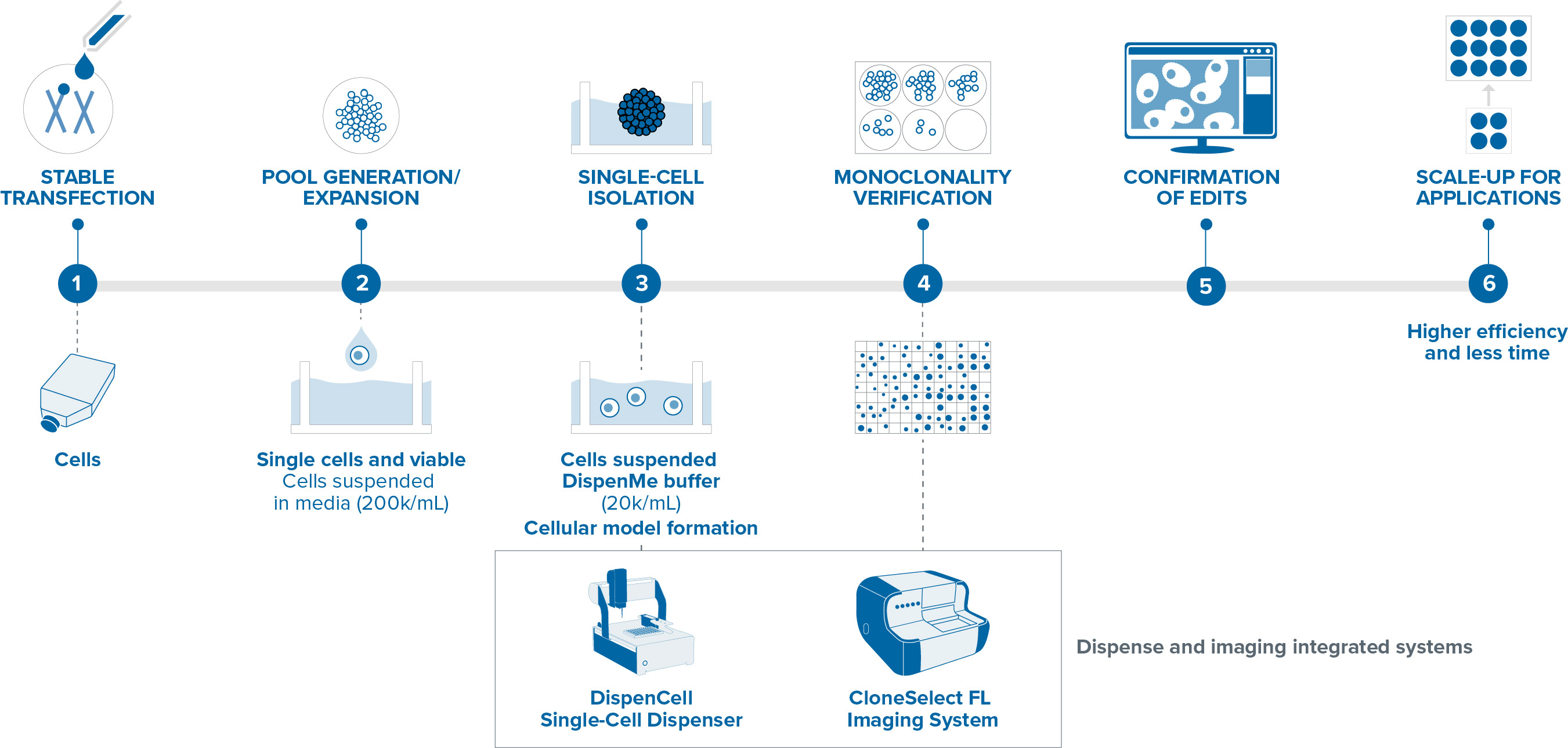 Dispencell workflow 