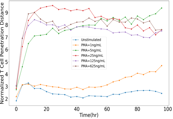 T cell PenetrationV2